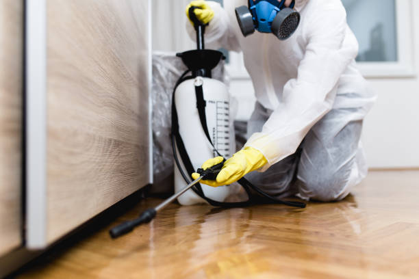  Boiling Springs, NC Pest Control Pros