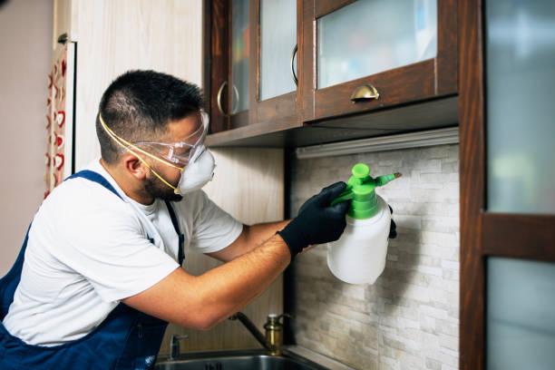 Best Pest Control Near Me  in Boiling Springs, NC