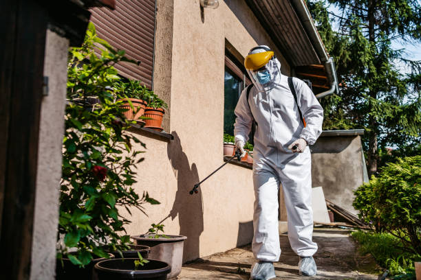 Best Rat Extermination Near Me  in Boiling Springs, NC