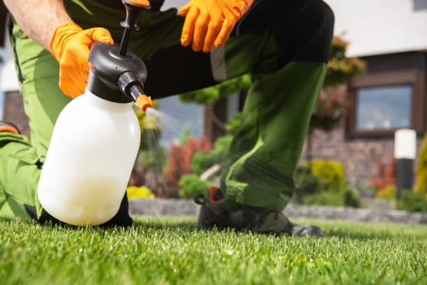 Reliable Boiling Springs, NC Pest Control Solutions