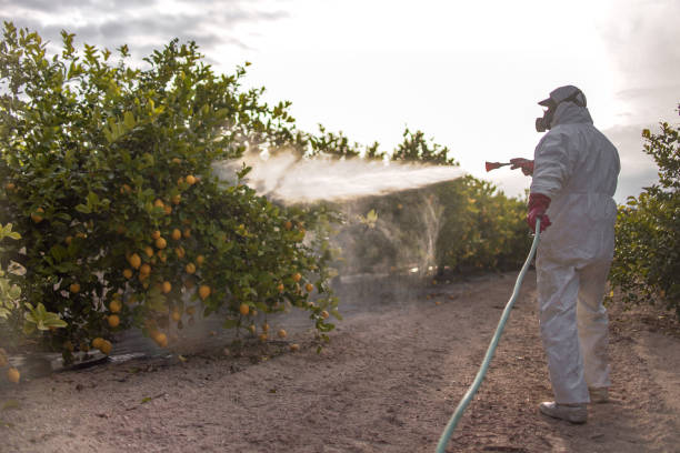Professional Pest Control in Boiling Springs, NC