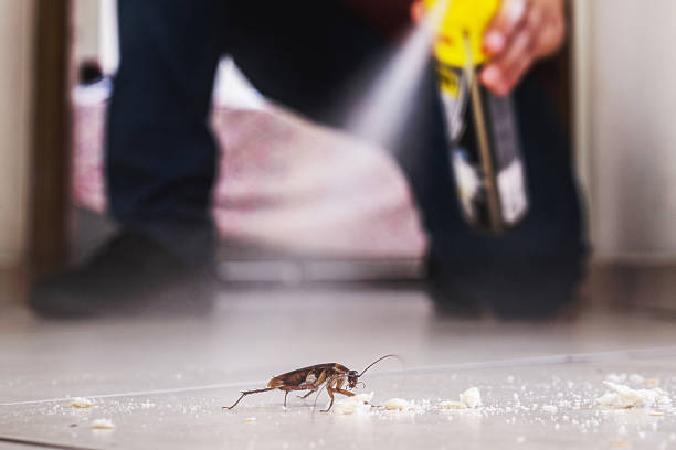 Best Cockroach Control Services  in Boiling Springs, NC