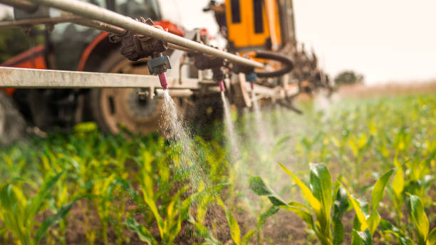 Best Pest Control Treatment  in Boiling Springs, NC