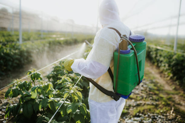 Best Pest Removal Services  in Boiling Springs, NC
